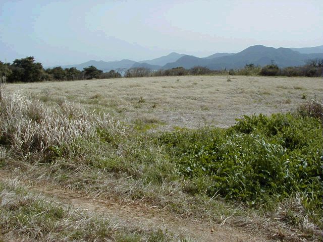 m_P3190052.JPG