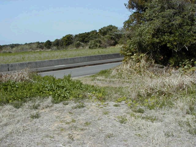 m_P3190053.JPG