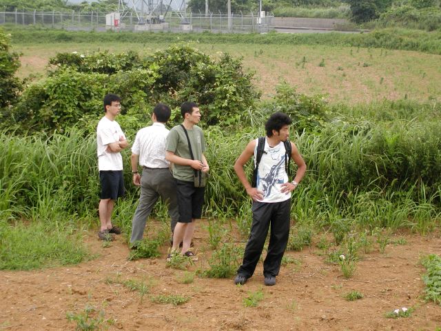 m_P7250019.JPG