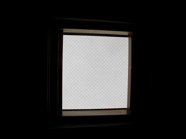 m_P7250060.JPG
