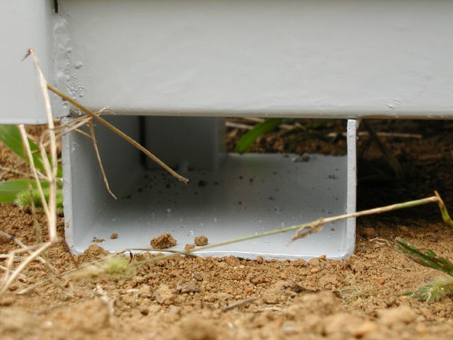 m_P7250072.JPG