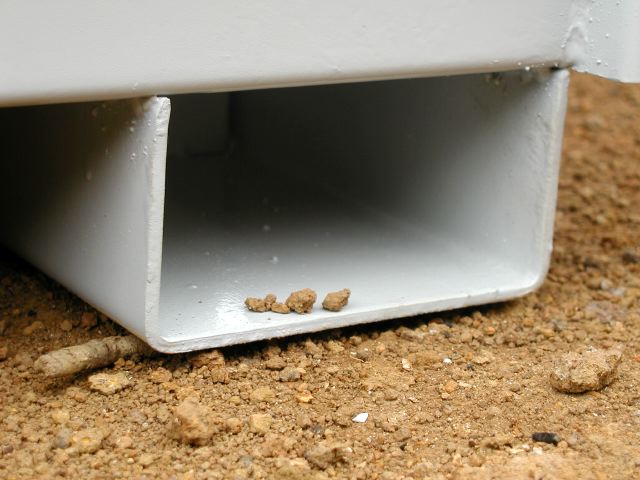 m_P7250075.JPG