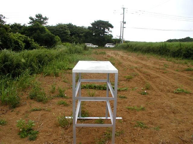 m_P7250081.JPG