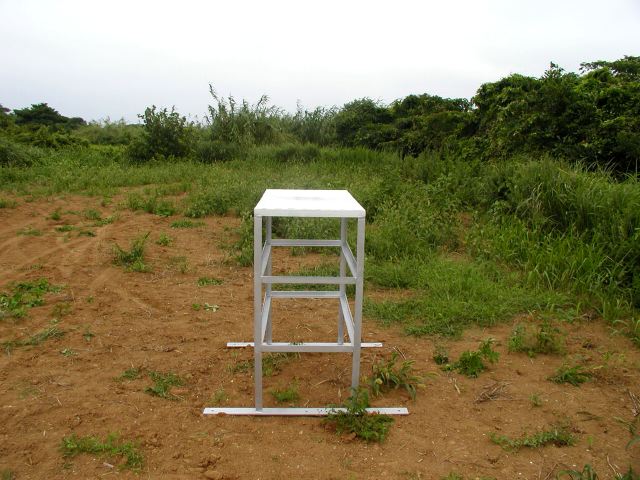 m_P7250083.JPG
