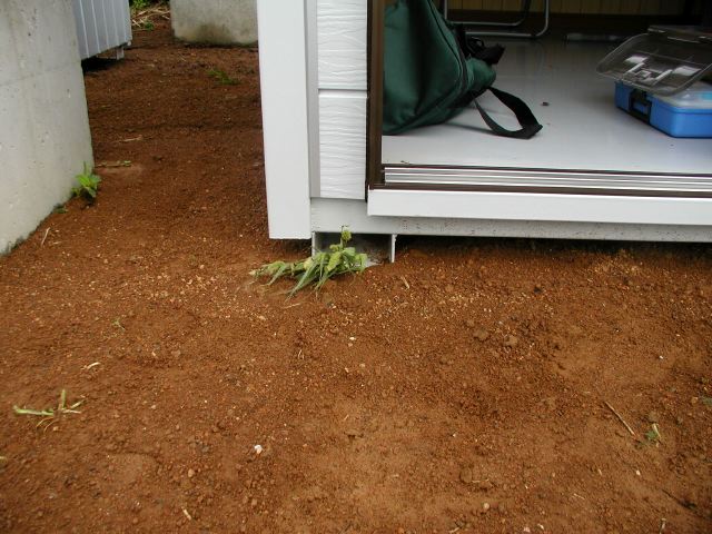 m_P7270105.JPG