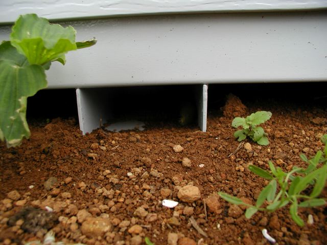 m_P7280137.JPG