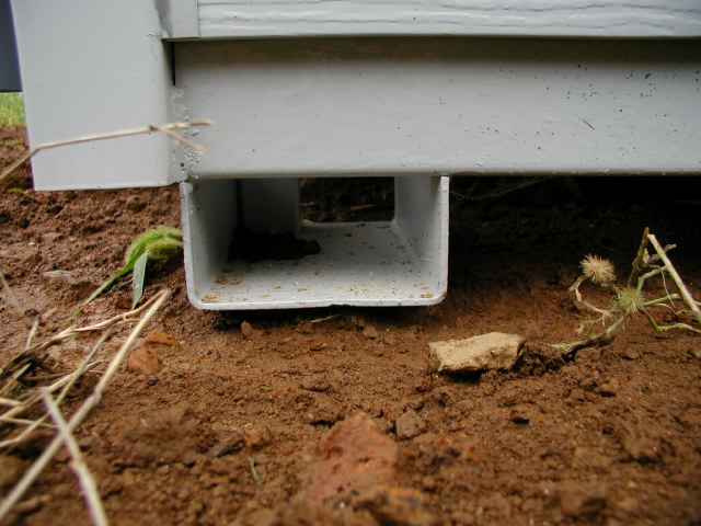 m_P7280139.JPG