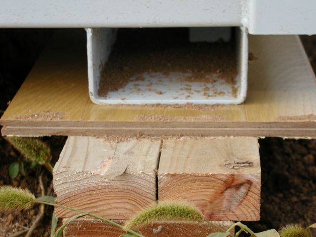 m_P7300213.JPG