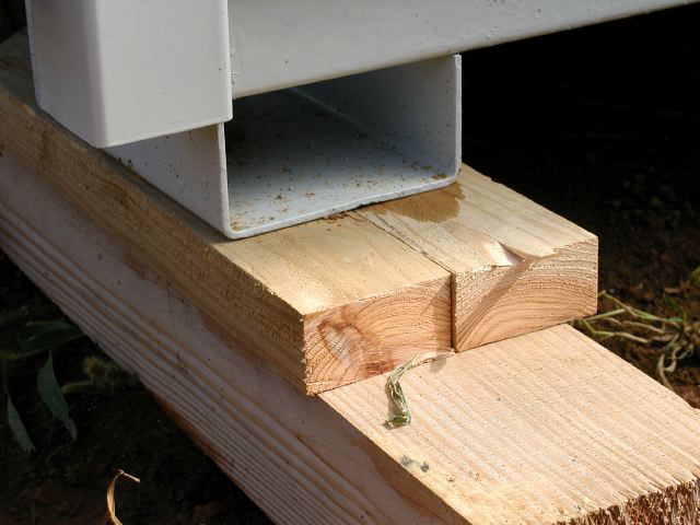 m_P7300214.JPG