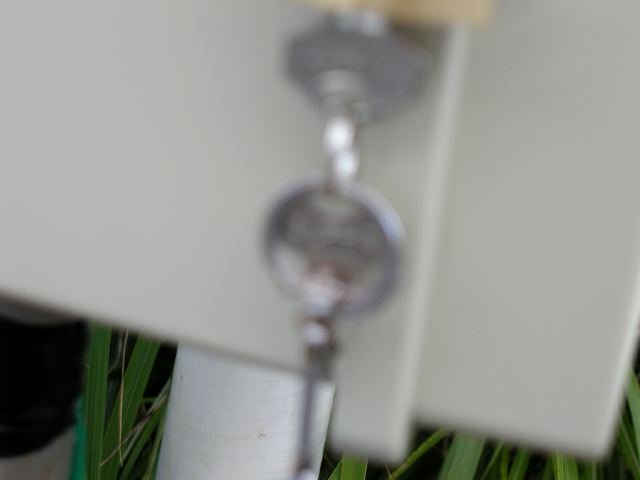 m_P8010255.JPG