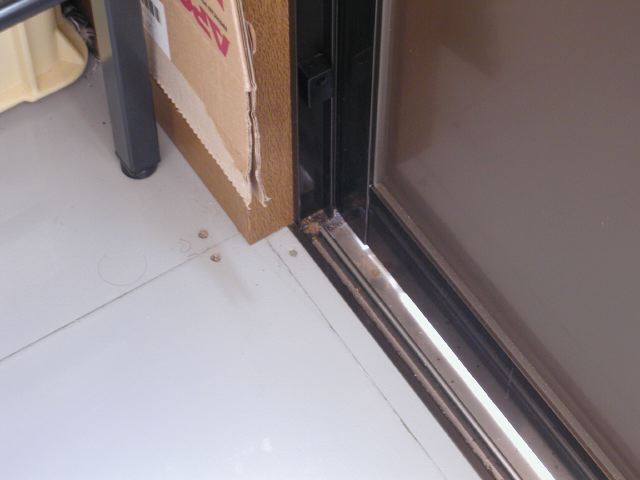 m_P8010276.JPG