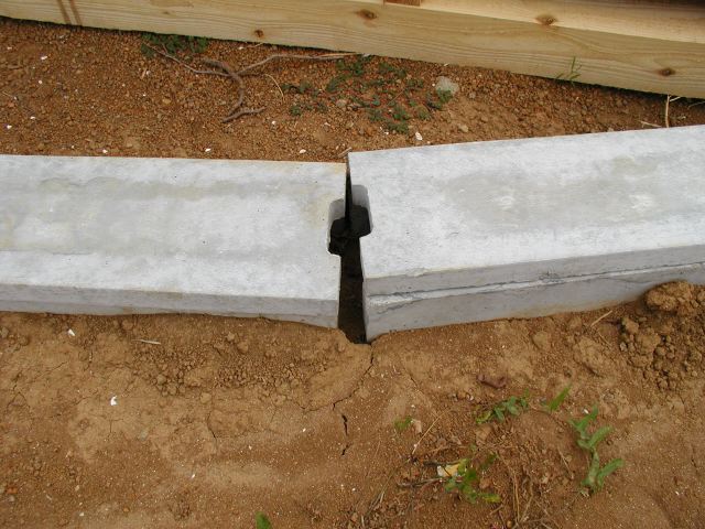 m_P9250010.JPG