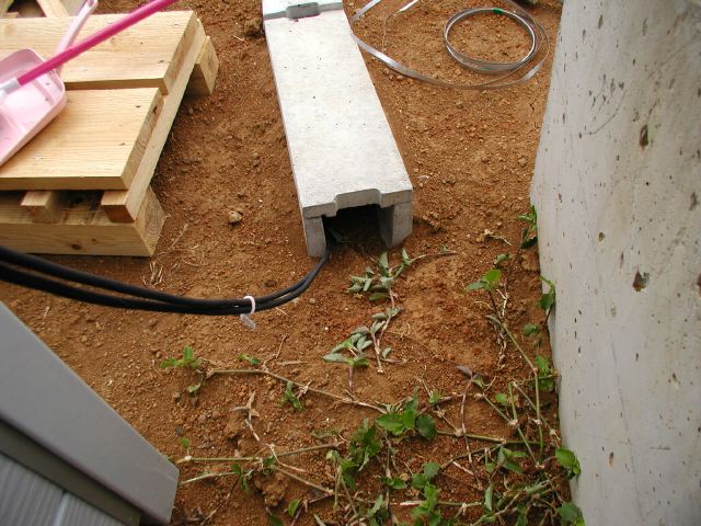 m_P9250012.JPG