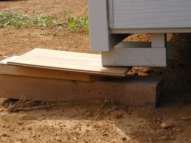 m_P9250029.JPG