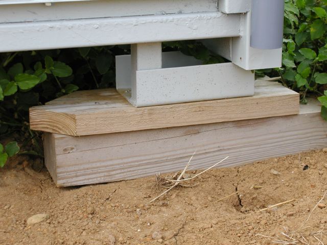 m_P9250030.JPG