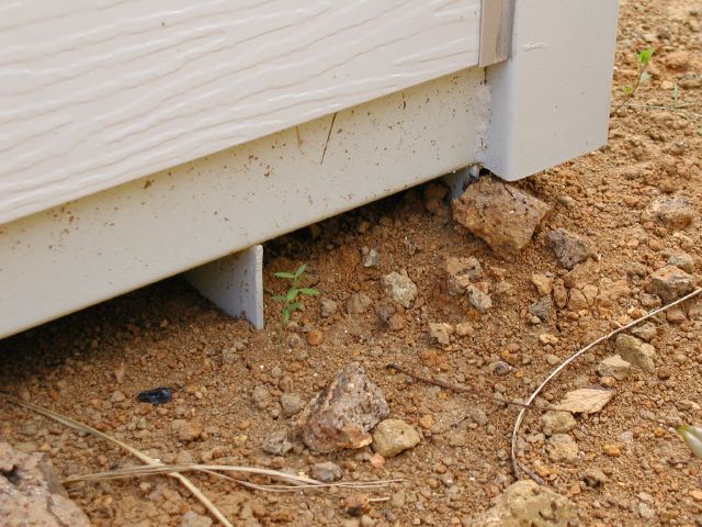 m_P9250033.JPG