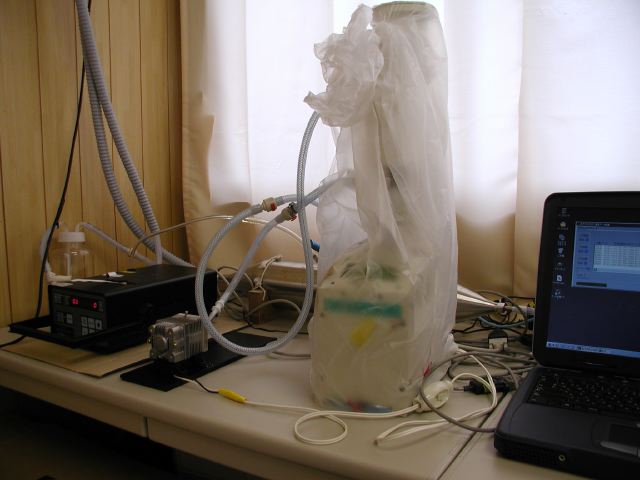 m_P9260049.JPG