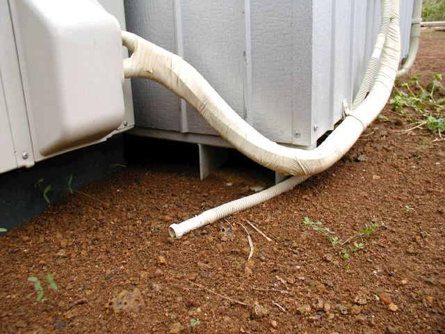 m_PB060015.JPG