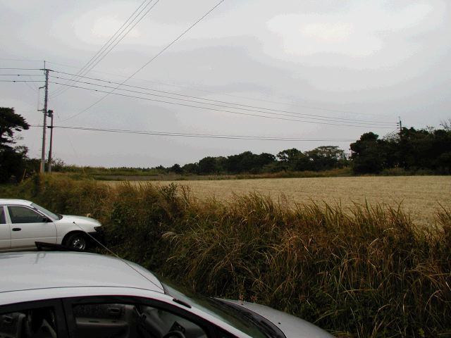 m_PB060029.JPG