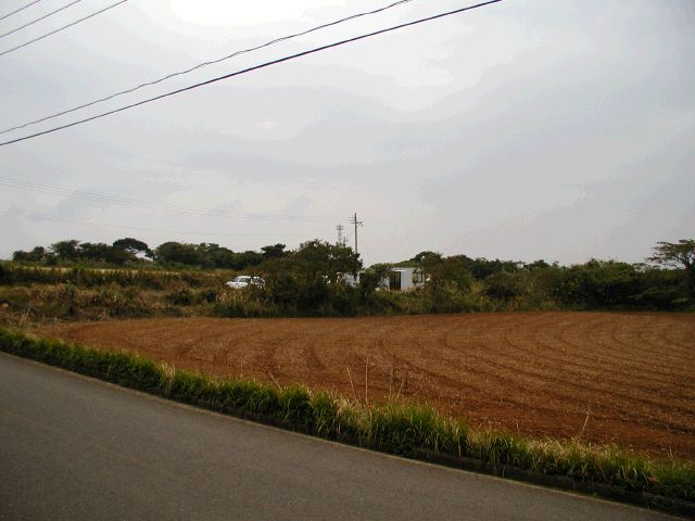 m_PB060037.JPG