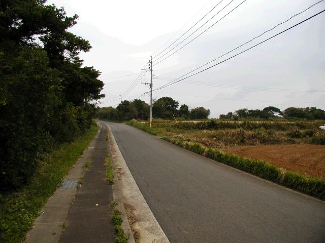 m_PB060039.JPG