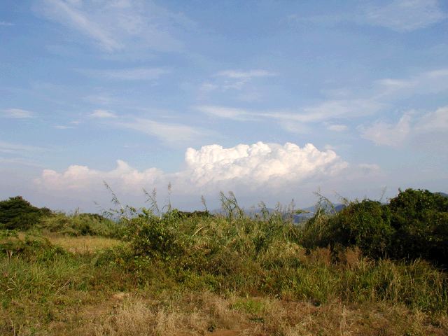m_PB070077.JPG