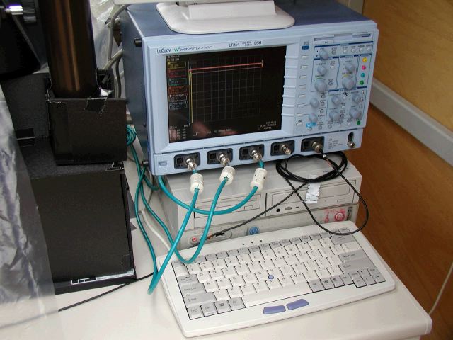 m_PB080109.JPG