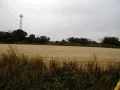 PB060030.JPG
