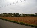 PB060037.JPG