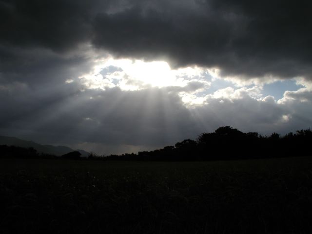 m_PC090124.JPG
