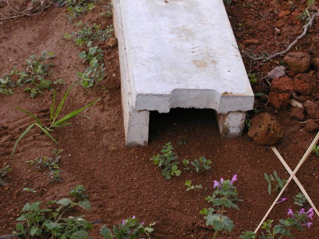 m_PC090140.JPG