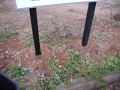 PC090134.JPG
