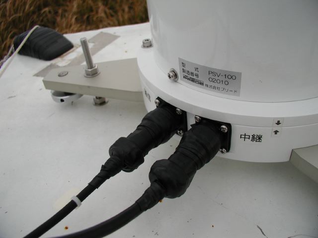 m_P1150051.JPG