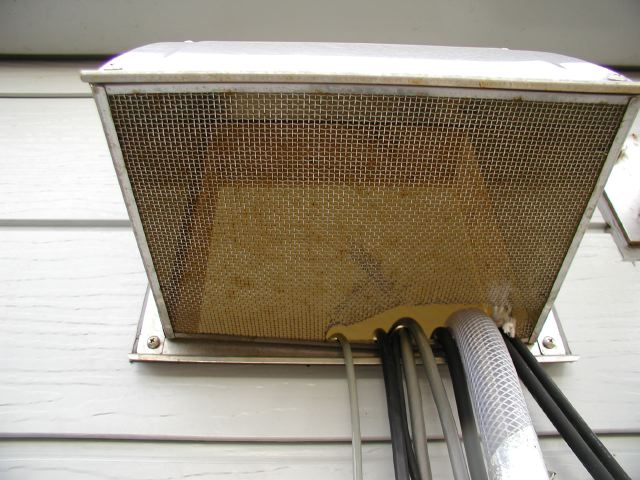 m_P1150073.JPG
