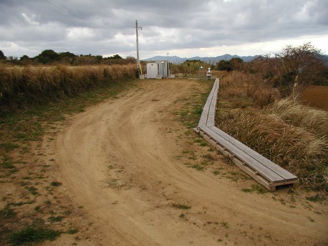 m_P1150081.JPG