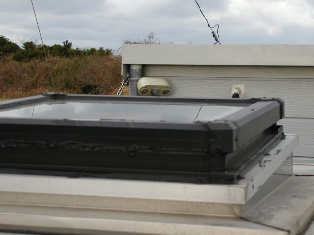 m_P1150085.JPG