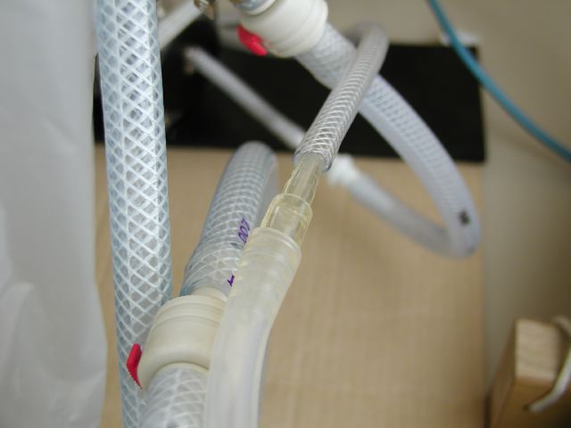m_P2180015.JPG