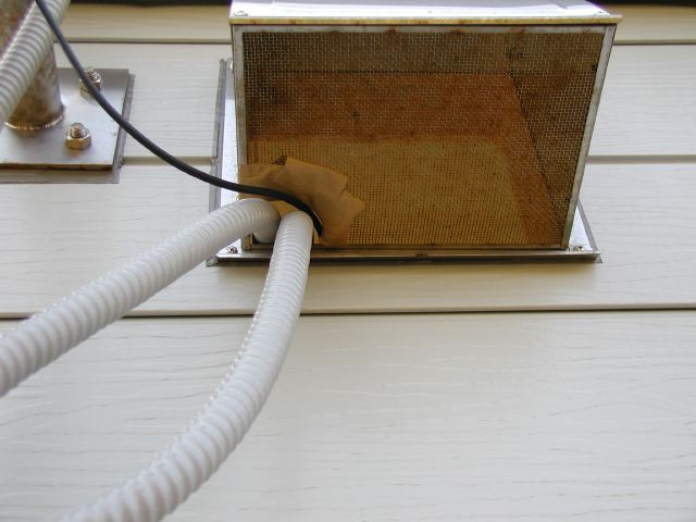 m_P2180038.JPG