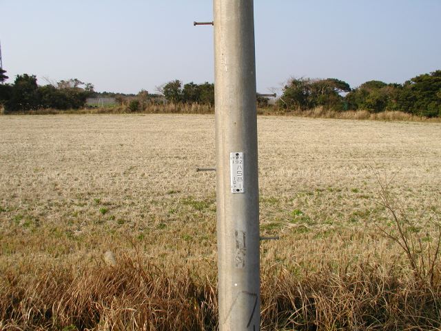 m_P2180041.JPG