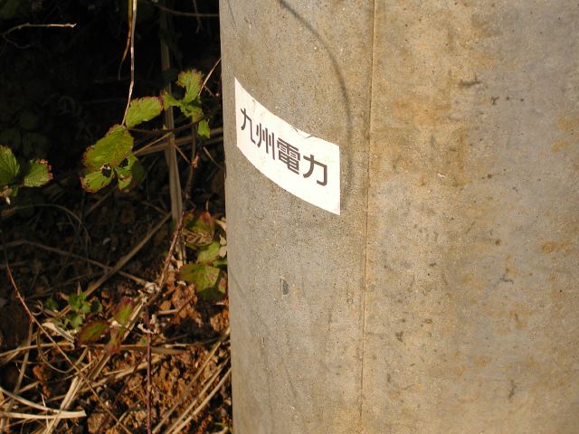 m_P2180043.JPG