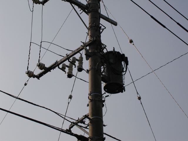 m_P2180045.JPG