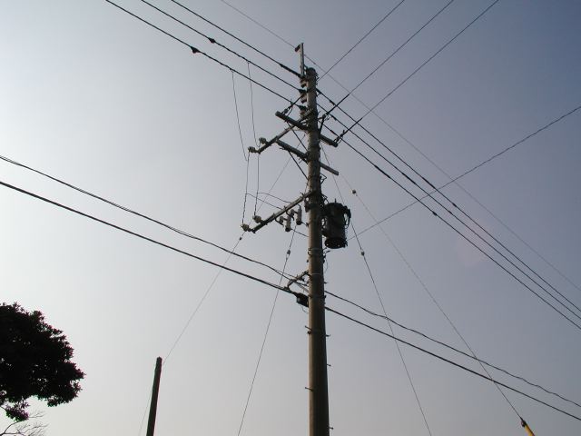 m_P2180046.JPG