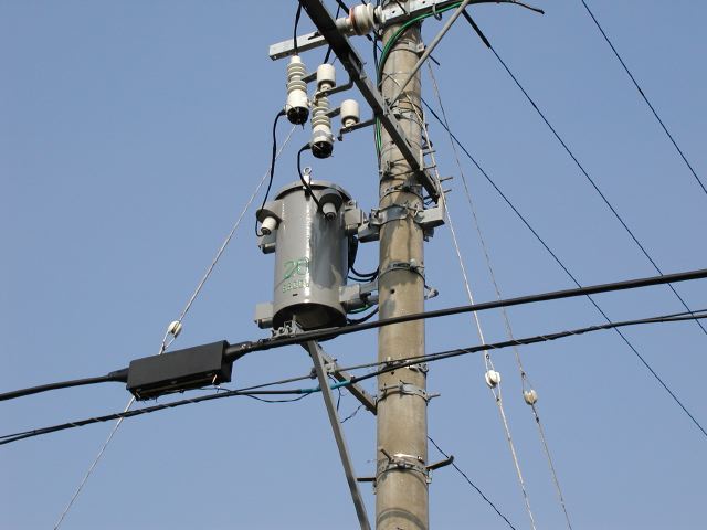 m_P2180047.JPG