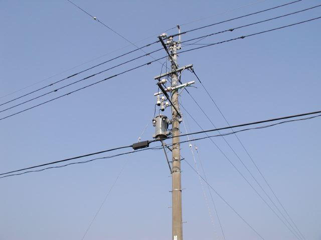 m_P2180048.JPG