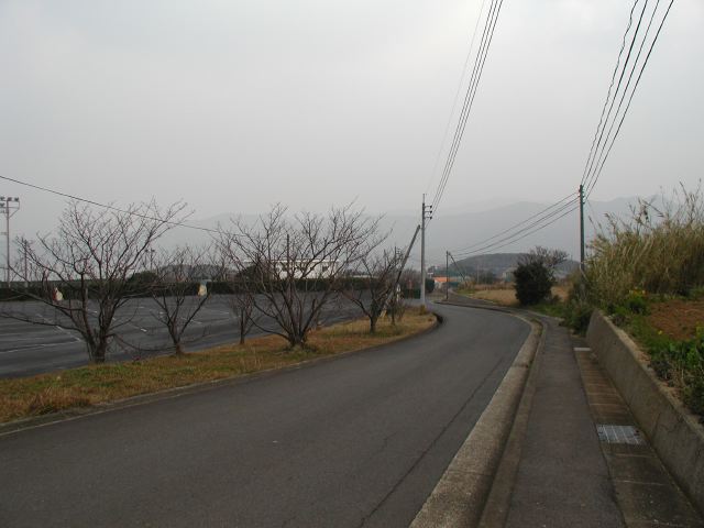 m_P2190058.JPG
