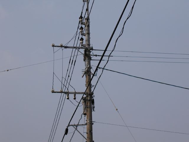 m_P2190062.JPG