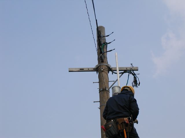 m_P2190067.JPG