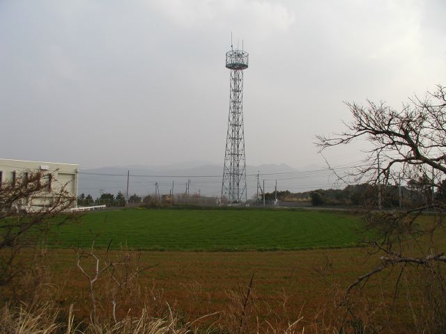 m_P2190069.JPG