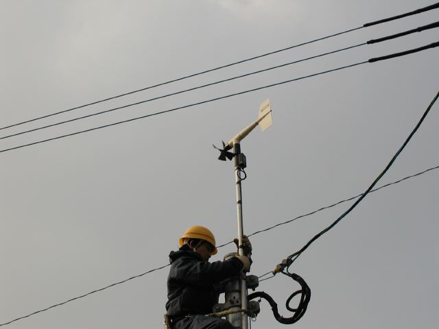 m_P2190075.JPG