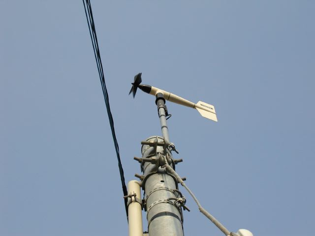 m_P2190097.JPG